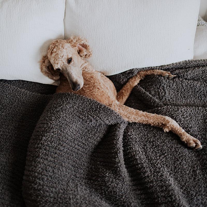 The Biggest, Best Blankets in the World Big Blanket Сo®